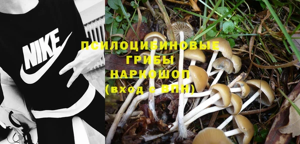 дмт Аркадак
