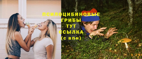 дмт Аркадак