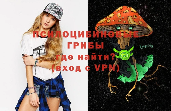 дмт Аркадак